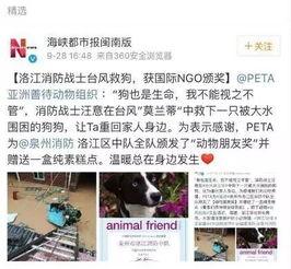 生活帮网友爆料视频大全,揭秘日常生活中的热点事件