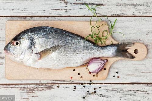 娱乐吃瓜鱼,揭秘娱乐圈那些不为人知的幕后故事